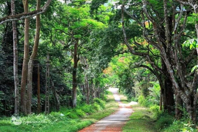 From Ninh Binh: Cuc Phuong National Park Day Trip - Frequently Asked Questions