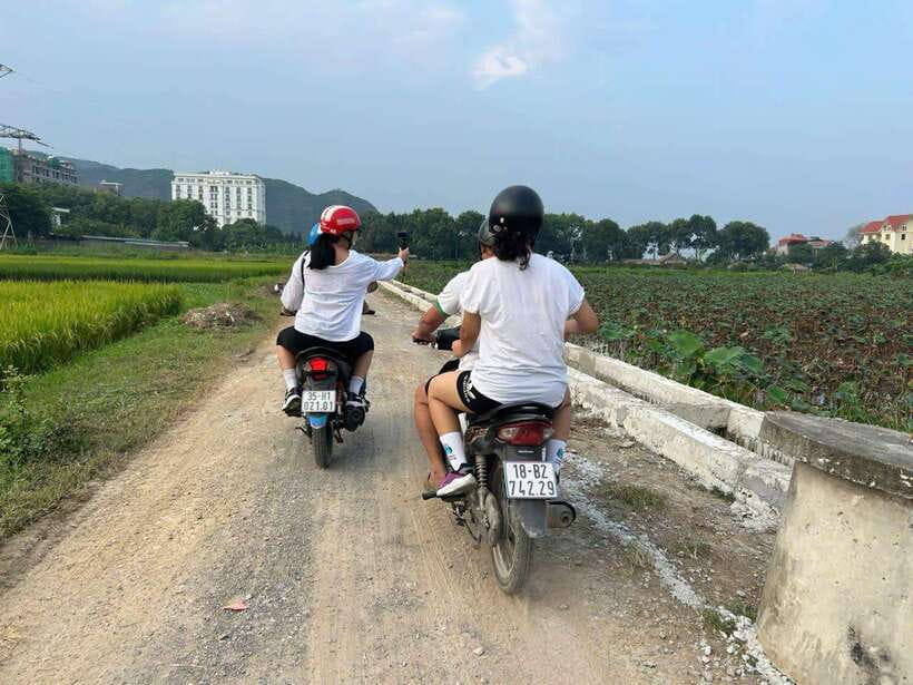 From Ninh Binh : Motobike Tour Trang An, Mua Cave 6-Hours - Booking and Contact Information