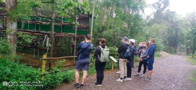 From Ninh Binh Small Group Discover Cuc Phuong National Park - Preparing for Your Adventure