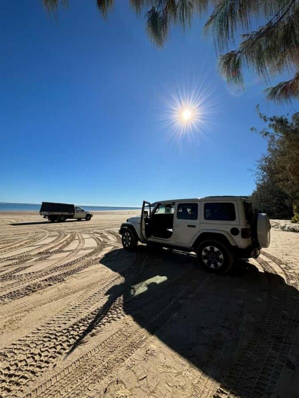 From Noosa: 4WD Beach and Walking Adventure - Key Points