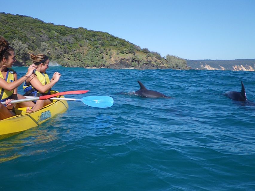 From Noosa: Dolphin Sea Kayaking and Beach 4X4 Tour - Pricing and Duration