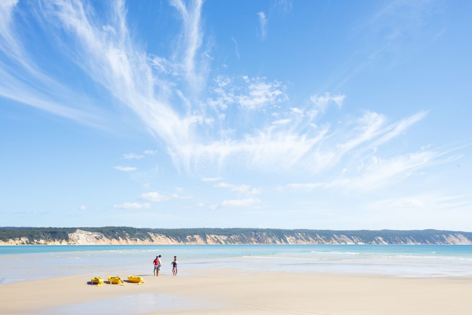 From Noosa: Dolphin Sea Kayaking and Beach 4X4 Tour - Booking Information