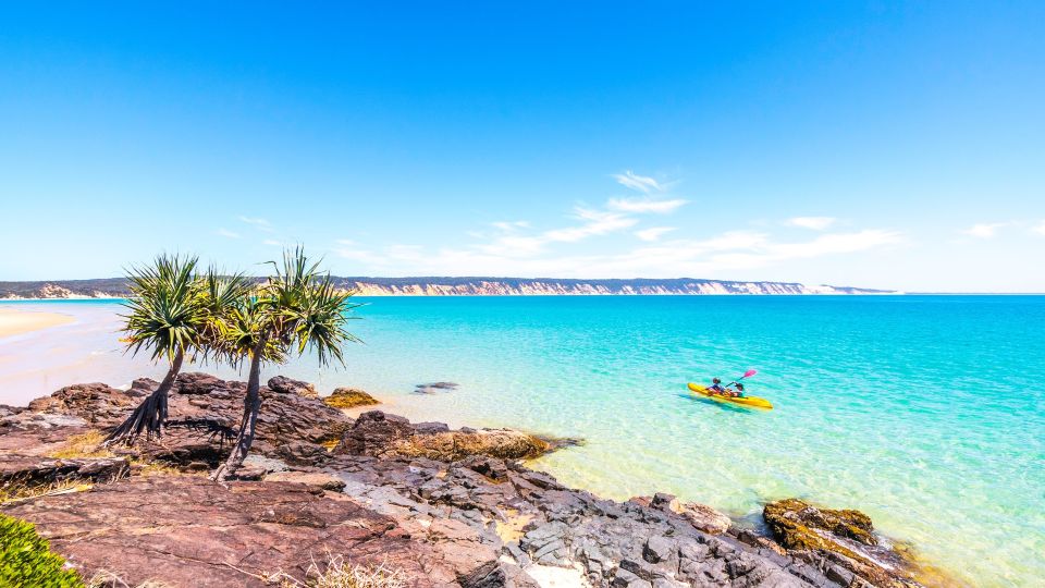 From Noosa: Dolphin Sea Kayaking and Beach 4X4 Tour - Restrictions and Requirements