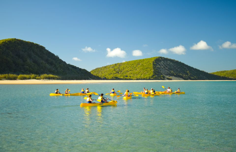 From Noosa: Dolphin Sea Kayaking and Beach 4X4 Tour - Meeting Point Details