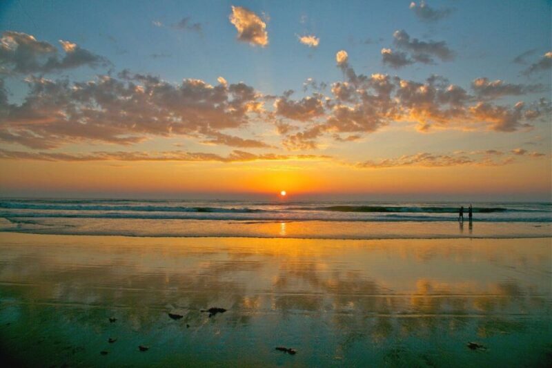 From North Goa : Full Day North Goa Tour With Pick up & Drop - Itinerary Highlights