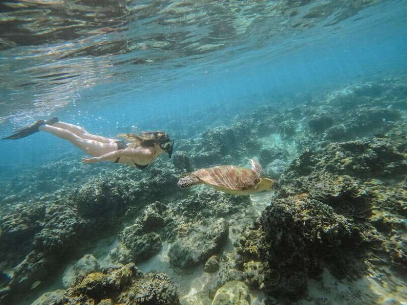 From Nusa Penida: 2D1N Gili Islands Private Snorkeling Tour - Key Points  