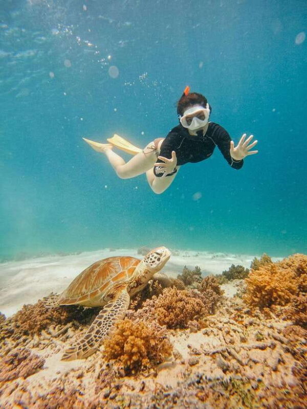 From Nusa Penida: 2D1N Gili Islands Private Snorkeling Tour - What You Can Expect from This Tour  