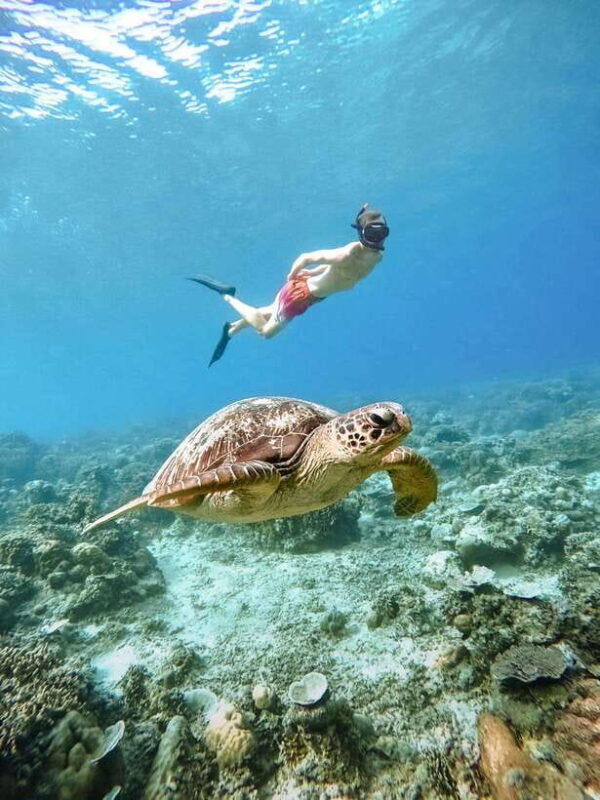 From Nusa Penida: 2D1N Gili Islands Private Snorkeling Tour - The Ideal Traveler for This Experience  