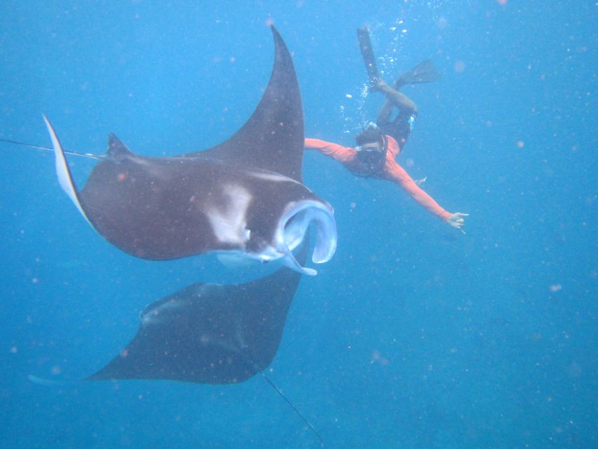 From Nusa Penida: 3 Spots Snorkeling Tour With Manta Rays - Exclusions