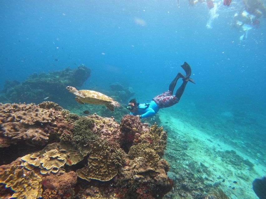 From Nusa Penida: 3 Spots Snorkeling Tour With Manta Rays - Important Information