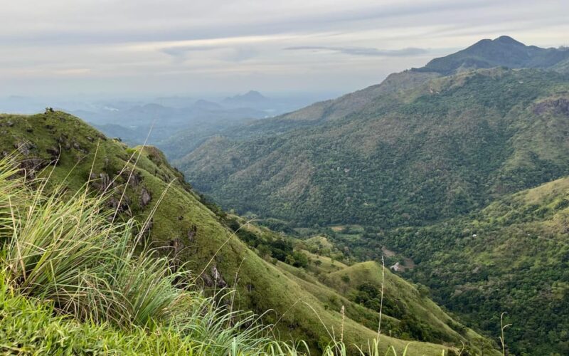 From Nuwara Eliya: Ella City Tour With Little Adams Peak - Good To Know