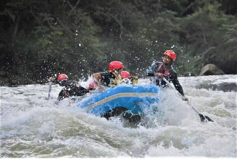 From Nuwara Eliya: White Water Rafting in Kithulgala-Private - The Sum Up: Is This Tour Right for You?