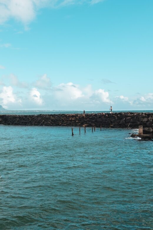 From Oahu: Kauai Highlights & Movie Sites - An In-Depth Look at the Tour Experience