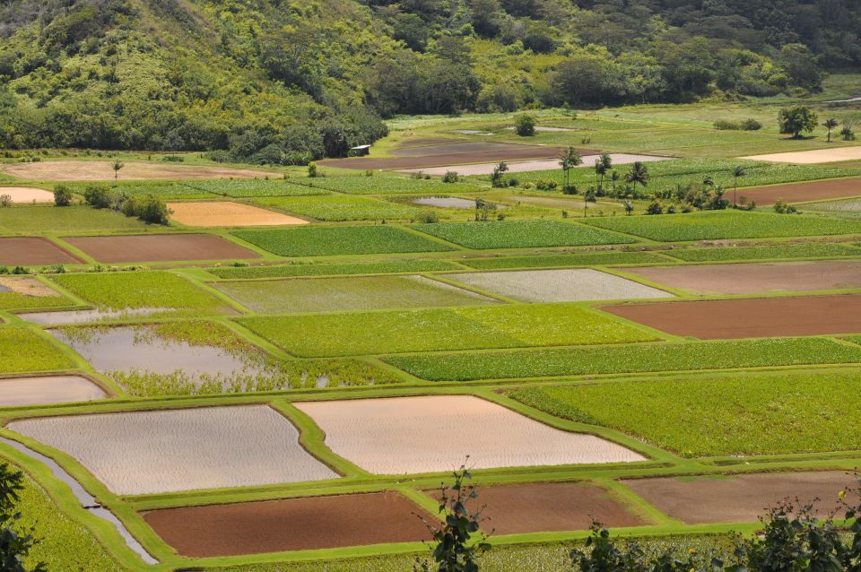 From Oahu: Kauai Movie Tour & Helicopter Adventure - Tour Experience