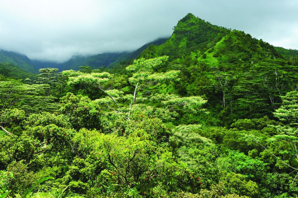 From Oahu: Kauai Movie Tour & Helicopter Adventure - Logistics