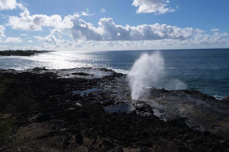 From Oahu: Kauai Waimea Canyon and Koke'e Adventure Tour - Why Choose This Tour?