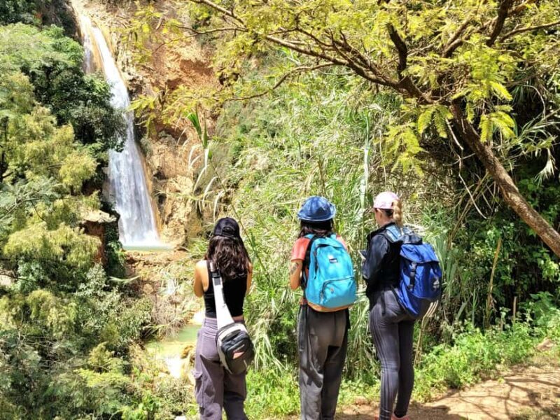 From Oaxaca: Apoala Magic Waterfalls Hike & Swim Adventure - Key Points