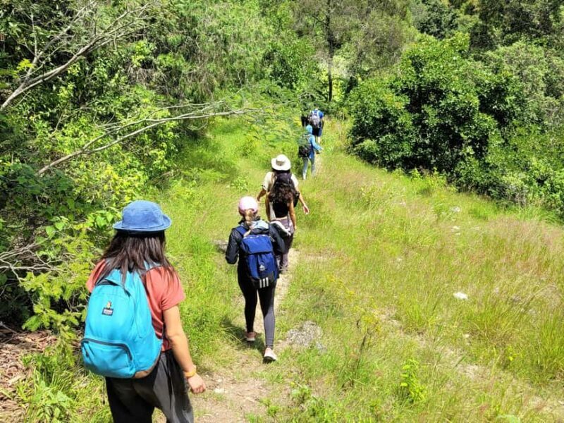 From Oaxaca: Apoala Magic Waterfalls Hike & Swim Adventure - Analyzing the Value