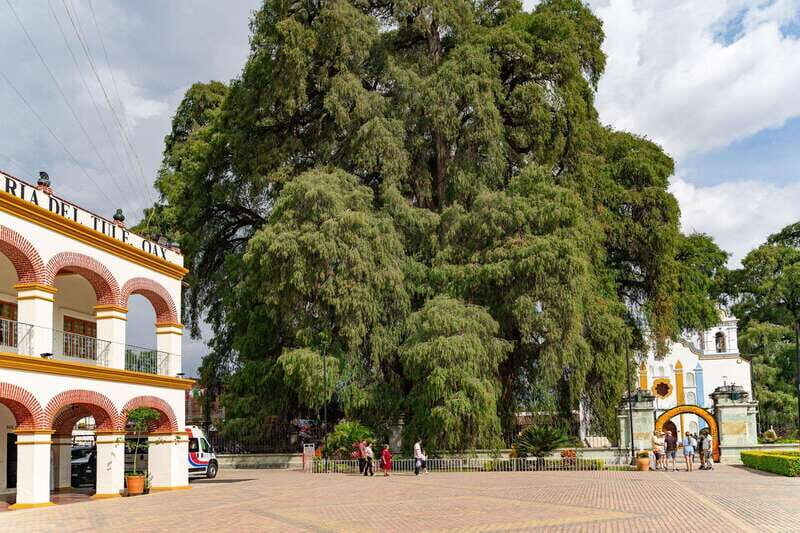 From Oaxaca: City, Mitla, and Mezcal Factory Tour - A Well Rounded Day of Oaxaca’s Best