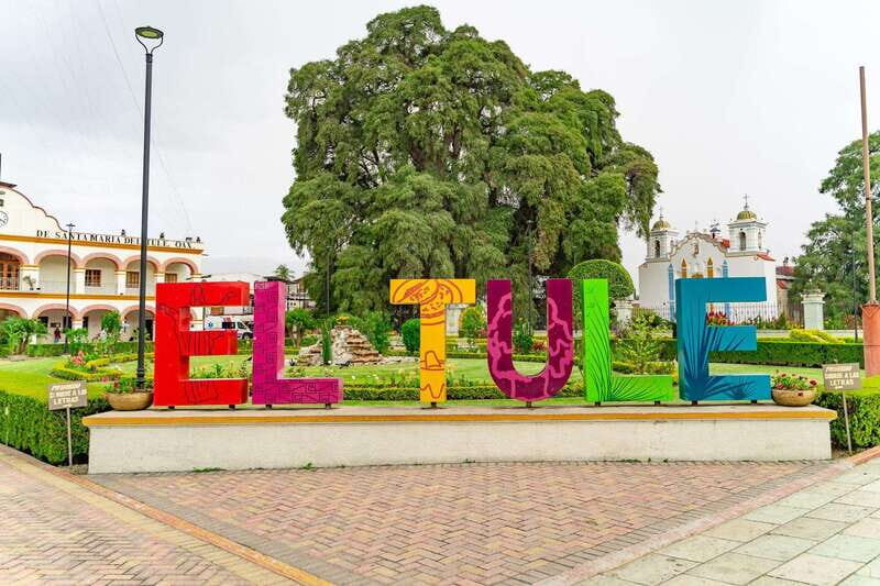 From Oaxaca: City, Mitla, and Mezcal Factory Tour - Authentic, Accessible, and Value-Driven