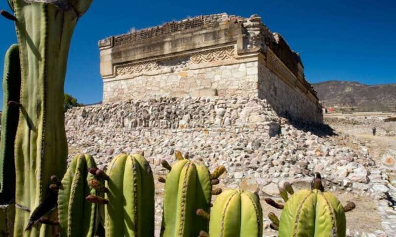 From Oaxaca: City, Mitla, and Mezcal Factory Tour - Final Thoughts