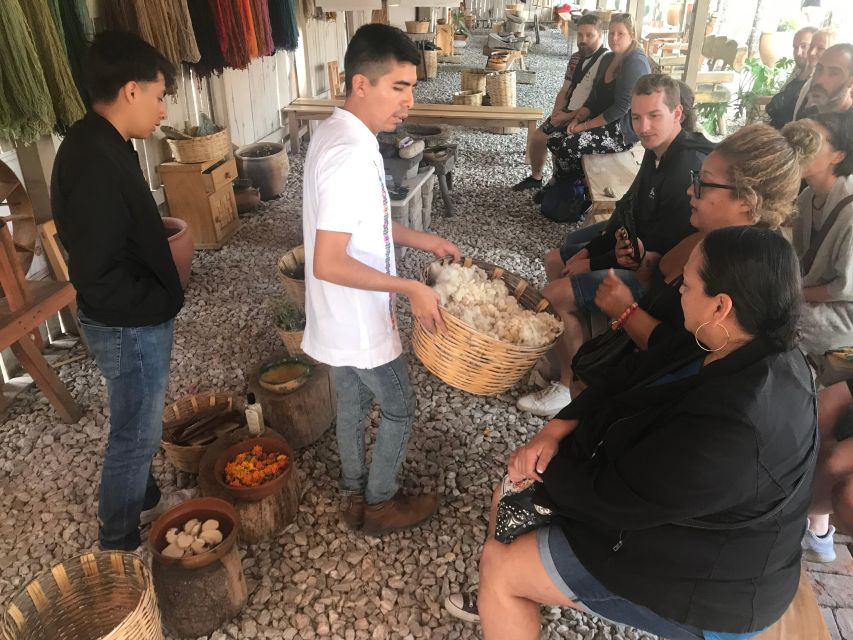 From Oaxaca: Hierve El Agua and Teotitlán Del Valle - Live Bilingual Guide Provided