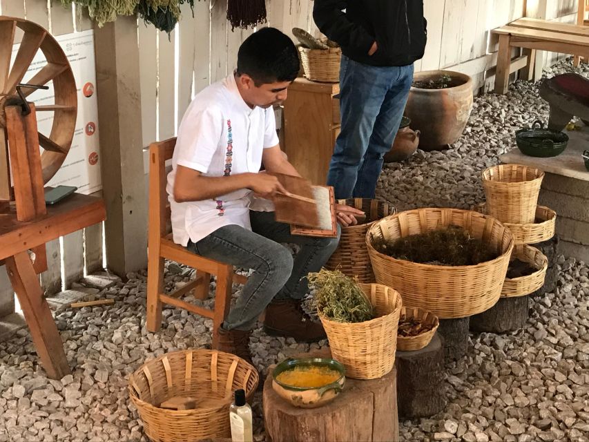 From Oaxaca: Hierve El Agua and Teotitlán Del Valle - Suitable for Adult Travelers