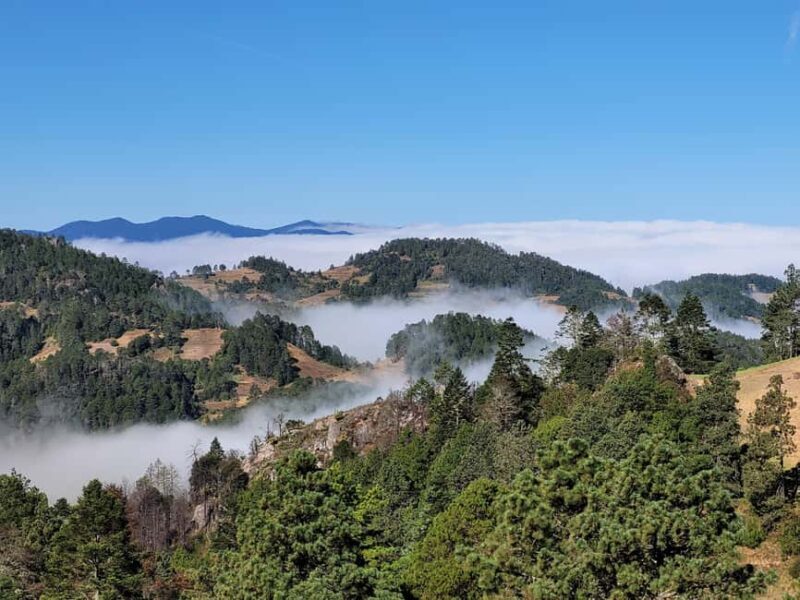 From Oaxaca: Sierra Norte Hike & Indigenous Village Full-Day - Detailed Breakdown of the Itinerary