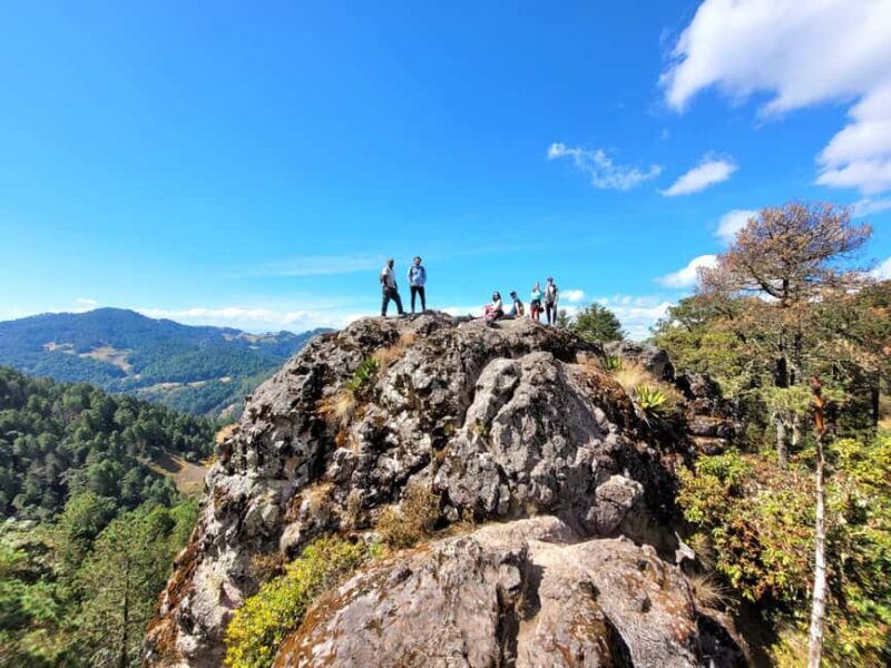 From Oaxaca: Sierra Norte Hike & Indigenous Village Full-Day - Who Should Consider This Tour?