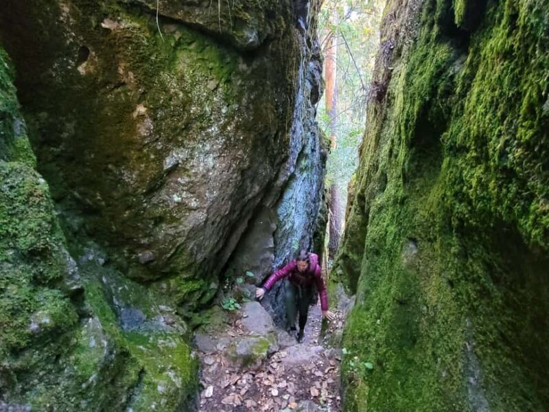 From Oaxaca: Sierra Norte Hike & Indigenous Village Full-Day - Final Thoughts: Is This Tour Right for You?