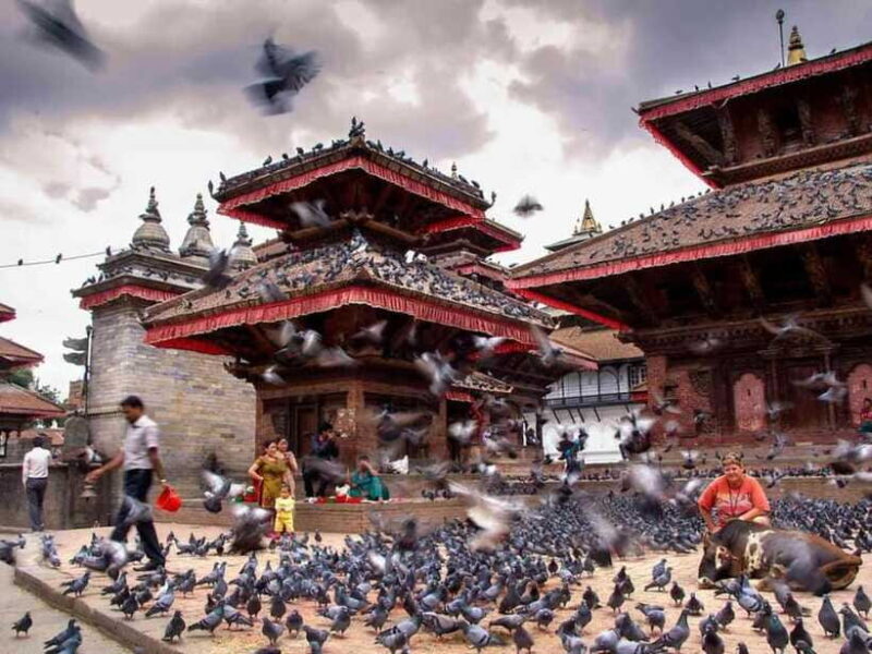 From Oceans to Mountains-9 Days (Nepal Guided Tour) - Final Thoughts  