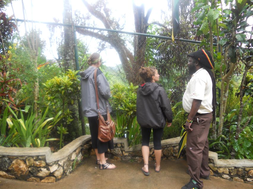 From Ocho Rios: Bob Marley & Dunn's River Falls 6/7Hour Tour - Inclusions and Amenities