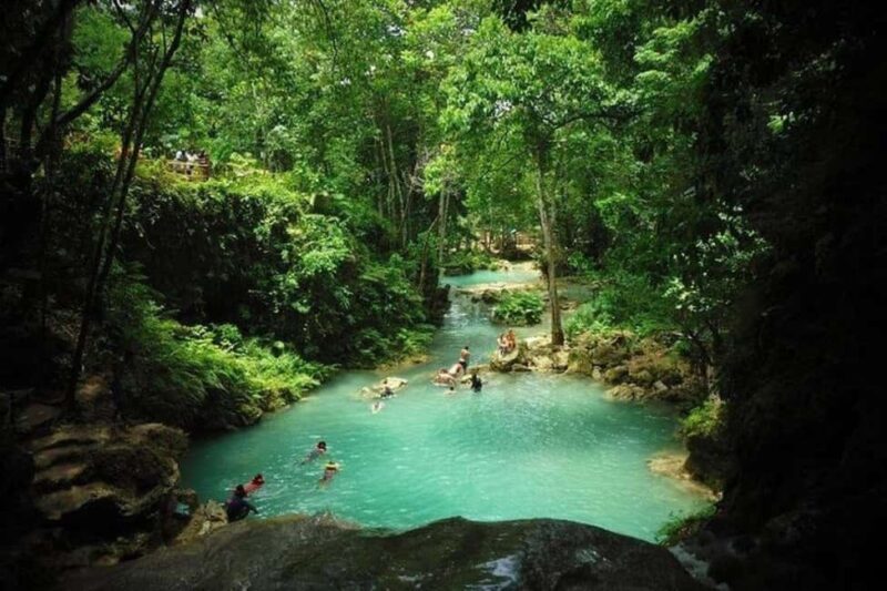 From Ocho Rios: Island Gully Secret Falls and Dunn's River - What to Expect on This Tour