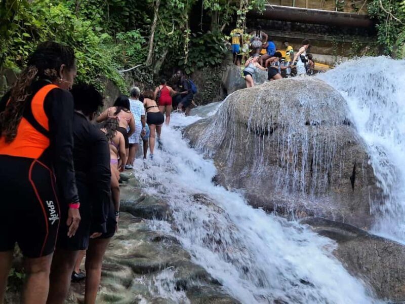 From Ocho Rios / Runaway Bay: Day Trip to Dunn's River Falls - Key Points