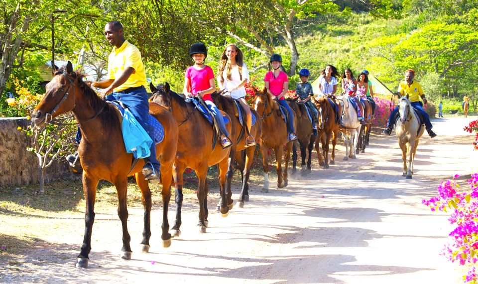 From Ocho Rios: Scenic Guided Horseback Ride With Transfer - Key Points