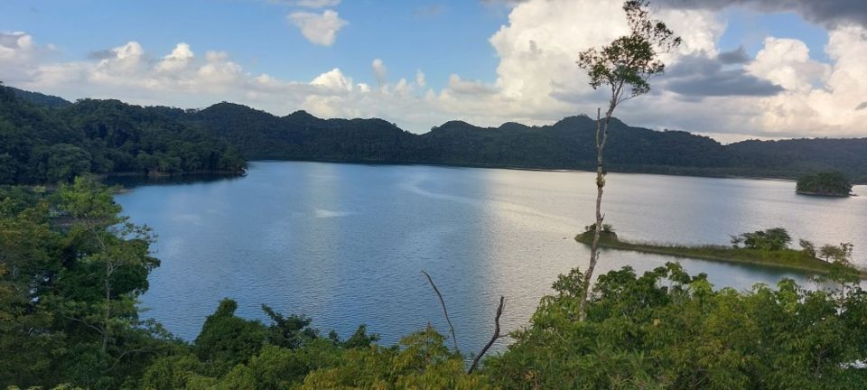 From Ocosingo: Guineo Lagoon Private Tour - Tour Details