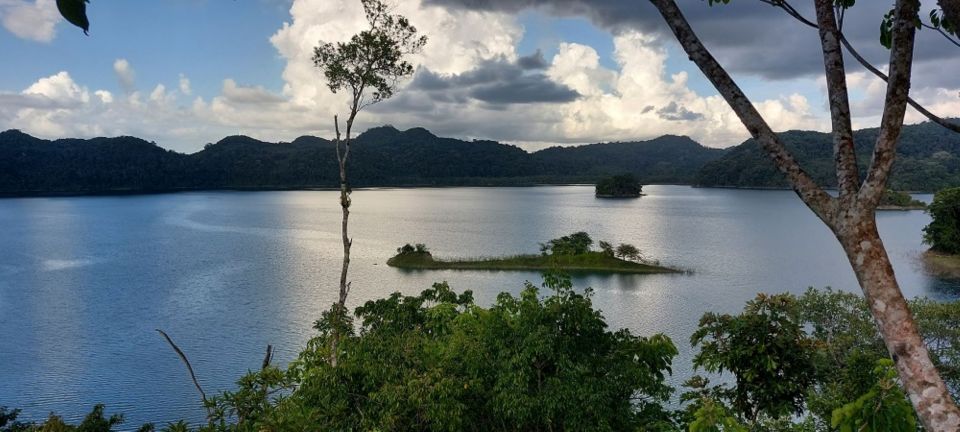From Ocosingo: Guineo Lagoon Private Tour - Highlights
