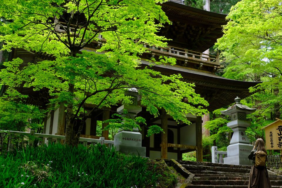 From Odawara: Forest Bathing and Hot Springs With Healing Power - Highlights of the Experience