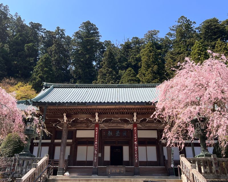 From Odawara: Forest Bathing and Hot Springs With Healing Power - Meeting and Ending Point