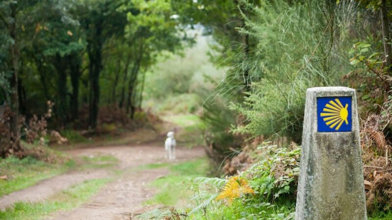 From Oia: 9-Day Guided Camino Walking Tour to Santiago - Itinerary and Experience