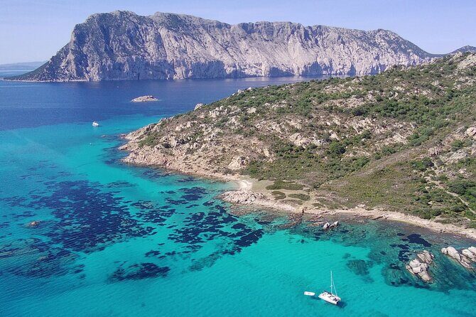 From Olbia: catamaran tour between Tavolara and Cala Moresca - Pricing and Value