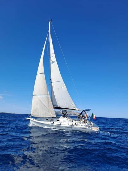 From Olbia: sailing tour between Tavolara and Cala Moresca - The Sum Up: Is It Worth It?