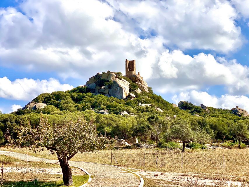 From Olbia: Sardinia Archaeological Tour - Contact Information