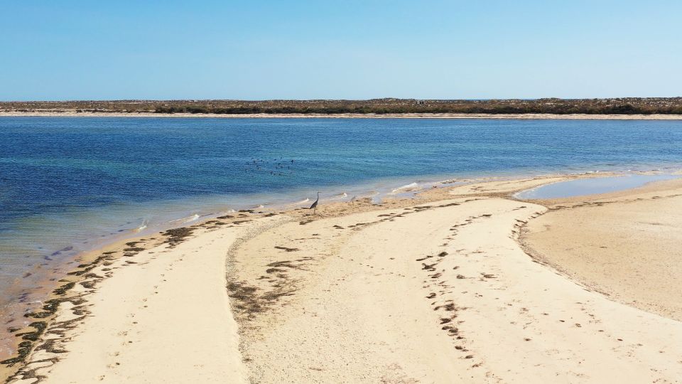 From Olhão: Ria Formosa 3-Island Full-Day Tour - Culatra Island