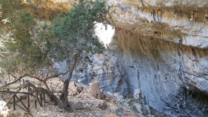 From Oliena: Trekking in the Village of Tiscali - Key Points