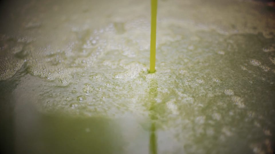 From Olive to Oil - Harvesting and Visit to Oil Mill With Tasting - Visit to the Olive Press