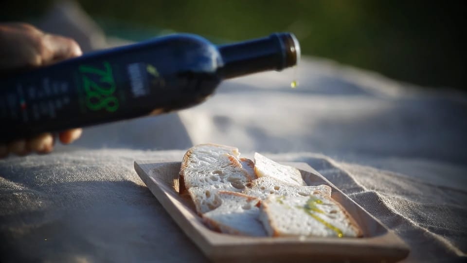 From Olive to Oil - Harvesting and Visit to Oil Mill With Tasting - Olive Oil Extraction Process