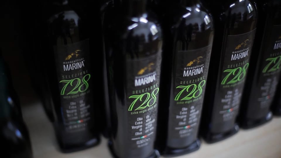 From Olive to Oil - Harvesting and Visit to Oil Mill With Tasting - Ask Away