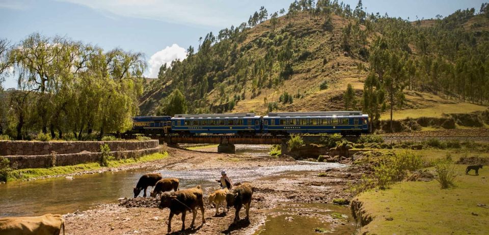 From Ollantaytambo: Aguas Calientes Round-Trip Train Ticket - Superior Ticket Details