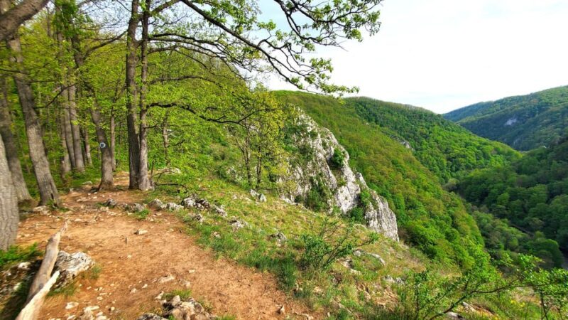 From Oradea: Gorges of Crisul Repede River - The Day Begins: From Oradea to the Wilderness
